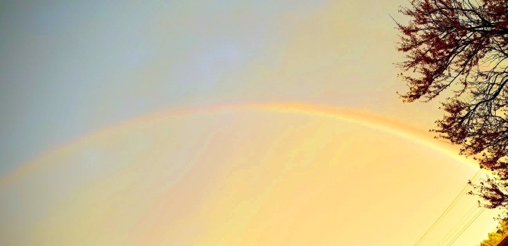 20190430_195648-effects