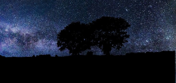 Sky Universe Night Trees Nature Dark Stars