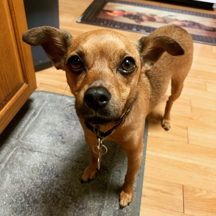 de54635f-4655-4d61-b9b6-560345601c4b